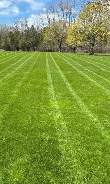 Commercial Lawn Maintenance West Bend