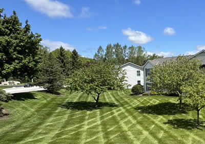 Lawn Care Community Focused