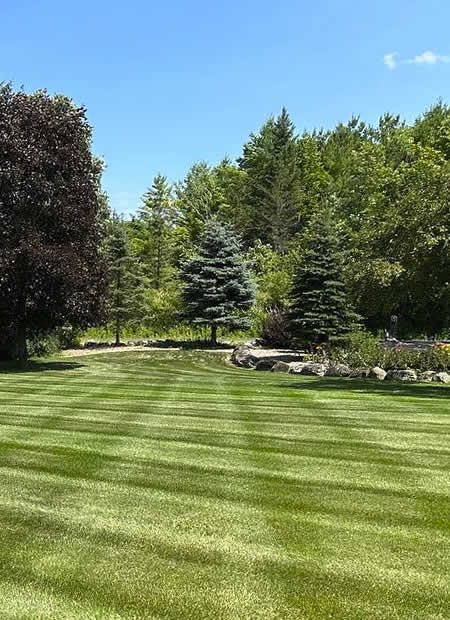 Landscape Design and Installation West Bend