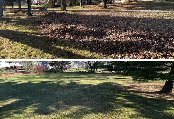 Professional Property Cleanup Services West Bend