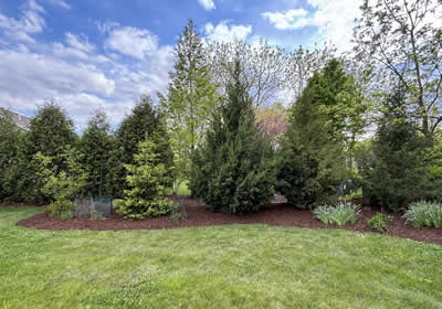 Lawn Care Quality Craftsmanship