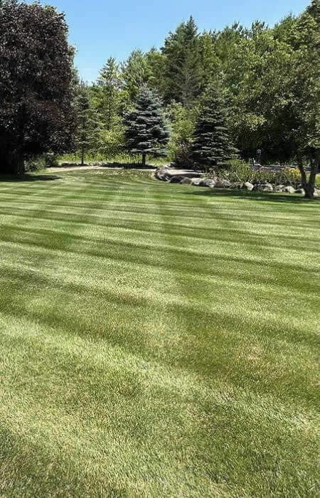 Request Property Maintenance Services