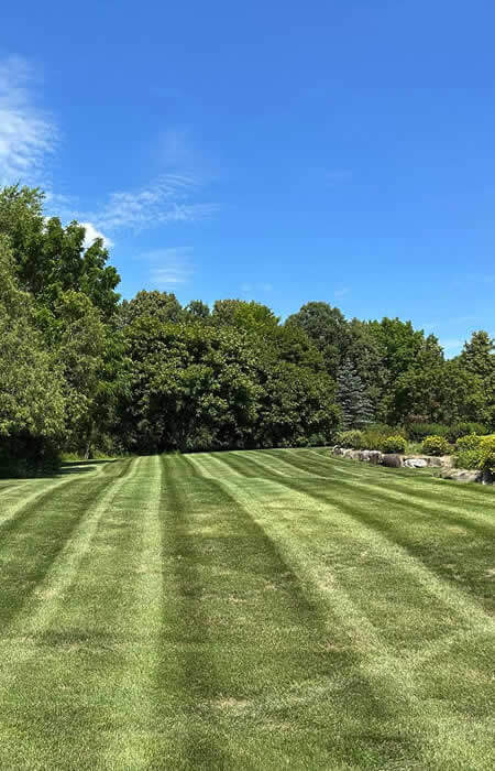 Request Lawn Care Services