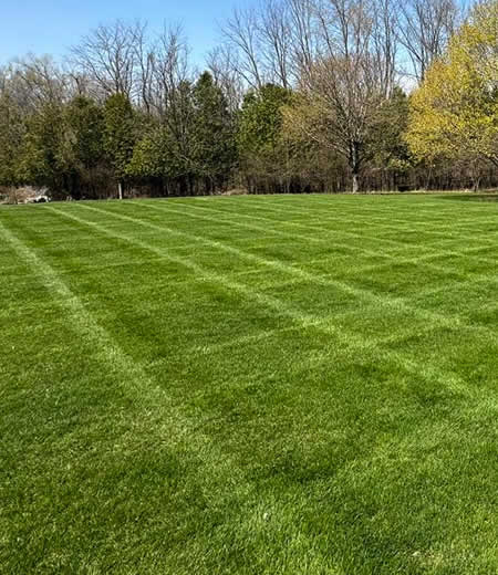 Residential Landscaping West Bend
