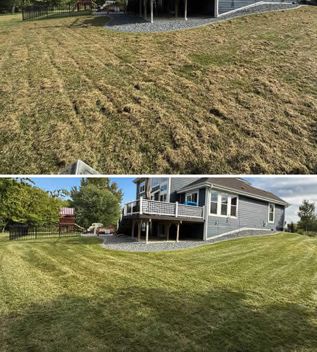 Residential Lawn Care West Bend