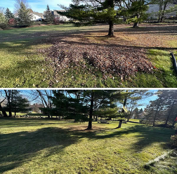 Seasonal Property Cleaning West Bend