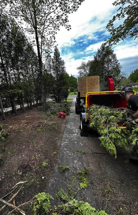 West Bend Professional Landscape Services