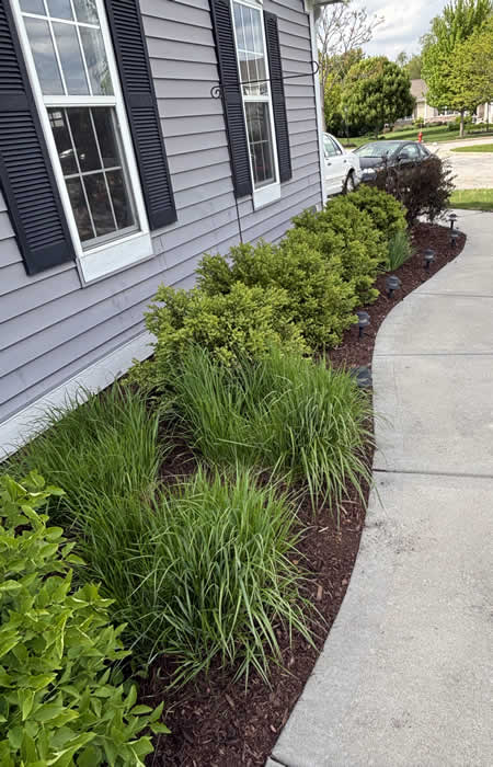 West Bend Professional Lawn Care Services