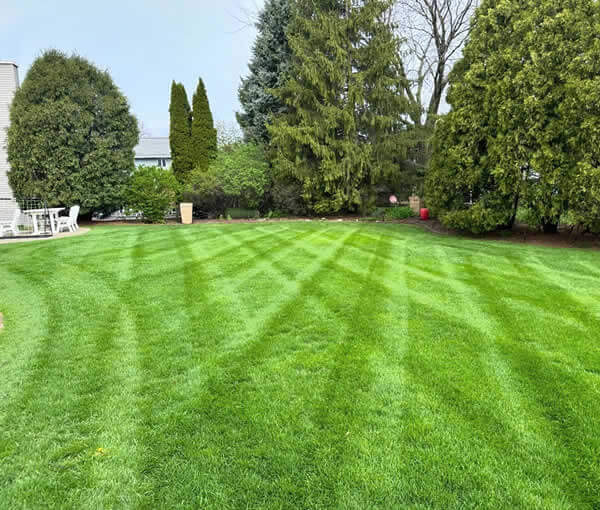 Residential Lawn Care West Bend